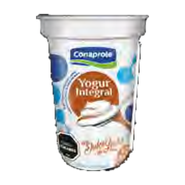 Yogur Integral con Dulce de Leche